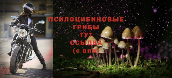 a pvp Белокуриха