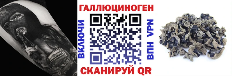Псилоцибиновые грибы прущие грибы закладка kraken рабочий сайт Пионерский